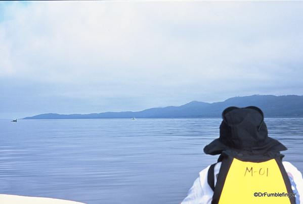 04 Johnstone Strait