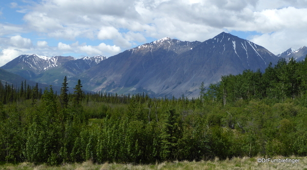 04 Kluane NP (1)