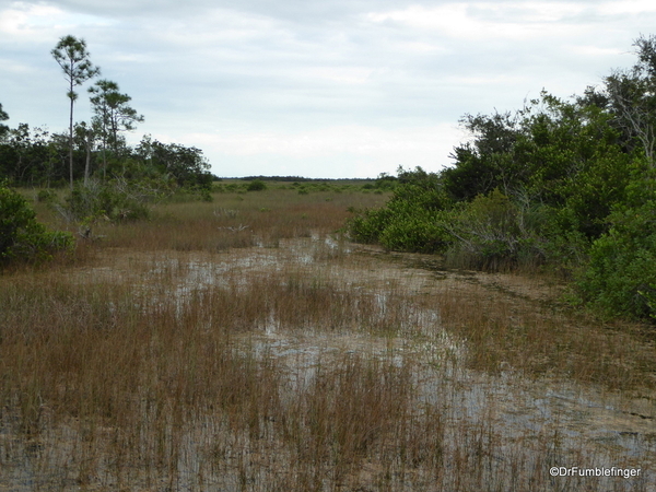 04 Mahogany Hammock Trail