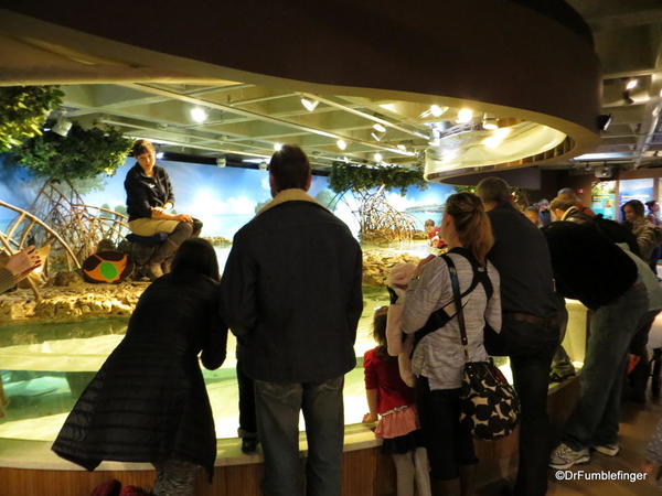 04 New England Aquarium Shark and Ray Tank