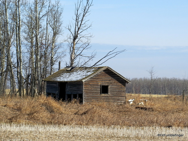 04 Old Barn, Alberta