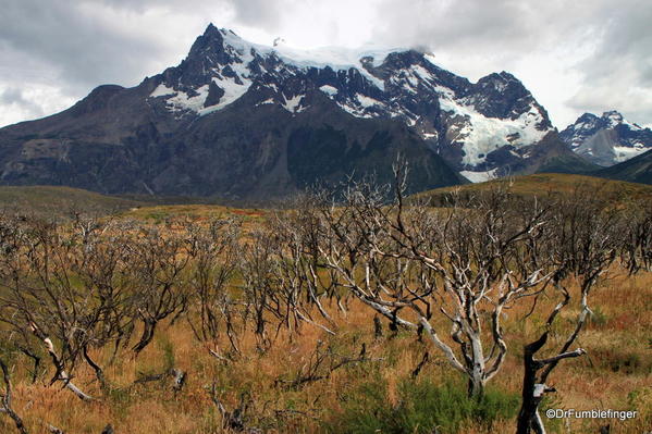 04 Paines Massif, Torres Del Paine (87)