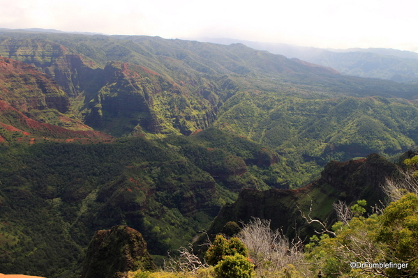 04 Waimea Canyon State Park