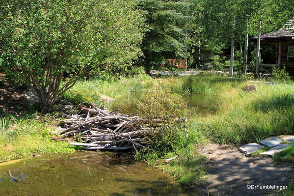 Alpine Pond, Betty Ford Alpine Garden, Vail