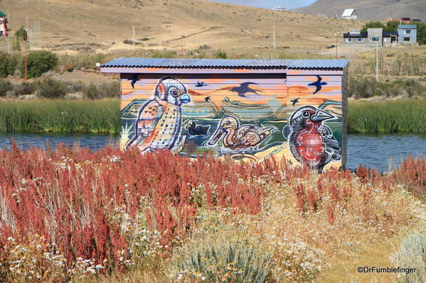 El Calafate, Argentina. Laguna Nimez Nature Preserve