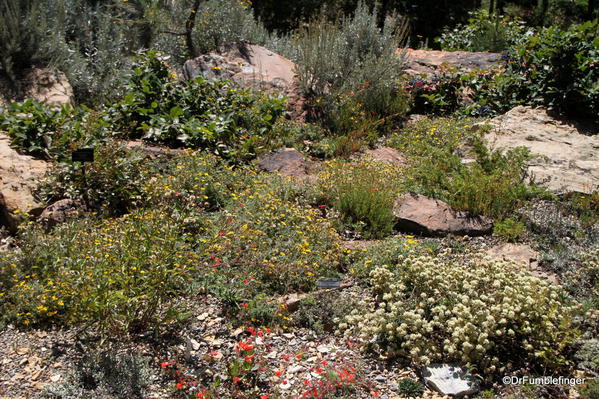 Betty Ford Alpine Garden, Vail