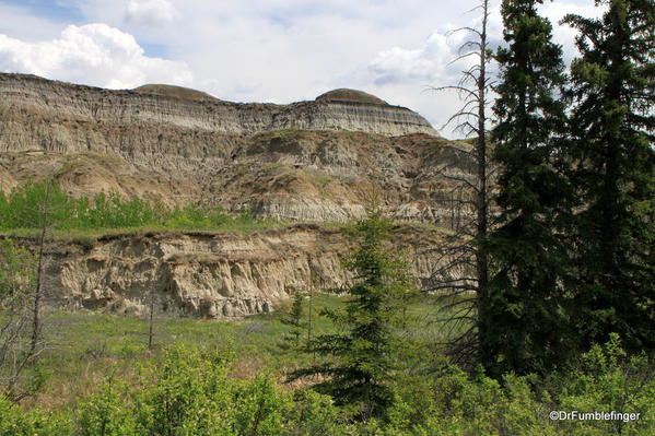 Scenery on the floor of Horseshoe Canyon