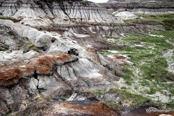 Scenery on the floor of Horseshoe Canyon