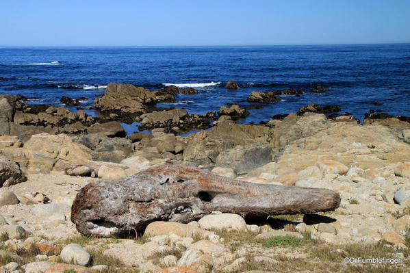 Seventeen Mile Drive, Coastal scenery