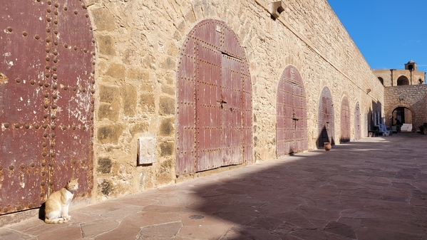 05 2023-09-14 Morocco Essaouira City Tour 038