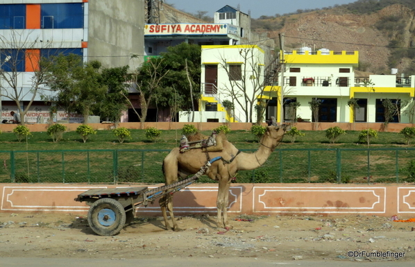 05 Drive to Jaipur