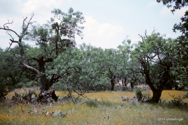 05 Enchanted Rock, Texas