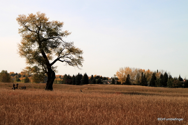 05 Fish Creek Provincial Park