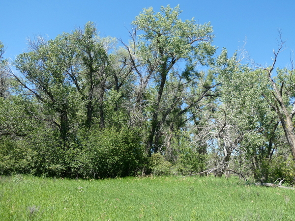 05 Helen Schuler Nature Centre Hike