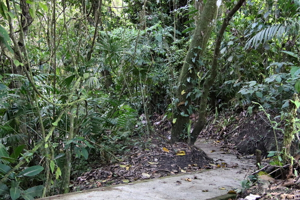 05 Hike in Arenal NP