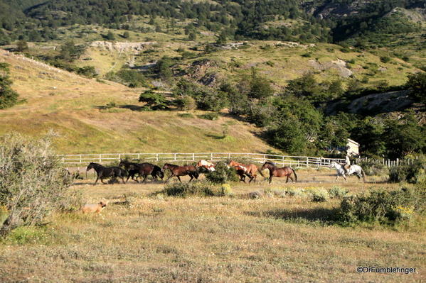 05 Hotel Las Torres, Torres del Paine (54)