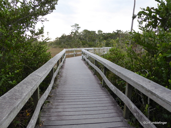 05 Mahogany Hammock Trail