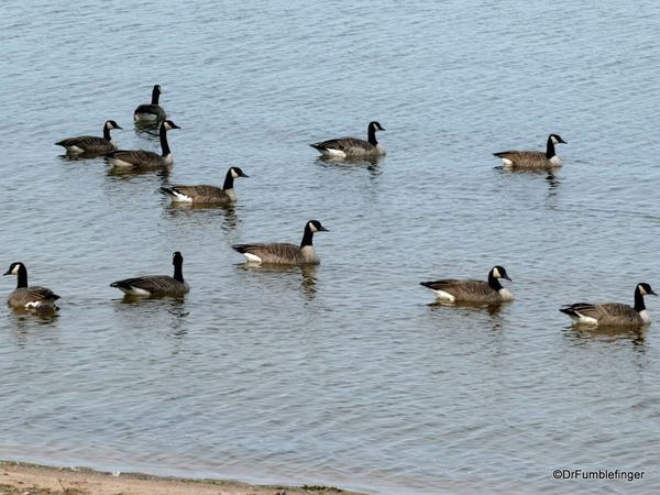 05 Nutimik Lake, Whiteshell Provincial Park (13)