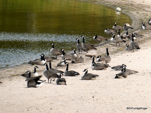 05 Nutimik Lake, Whiteshell Provincial Park (6)