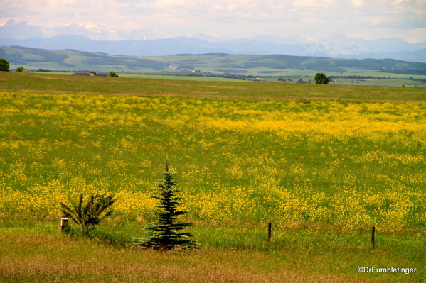 05 Okotoks Erratic