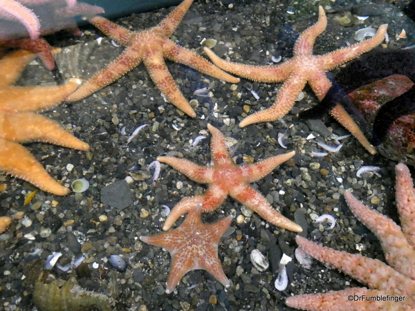 05 Seward Sealife Center