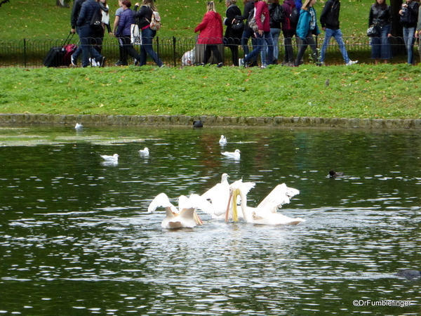 05 St. James Park and the Mall