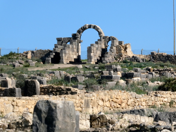 05 Volubilis