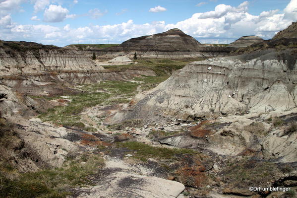 Scenery on the floor of Horseshoe Canyon