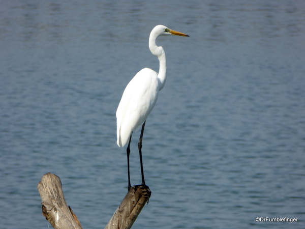 06 Batticaloa harbor