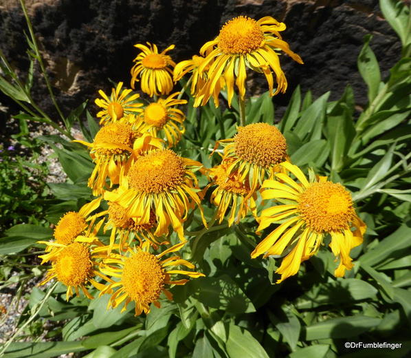 06 Betty Ford Alpine Garden