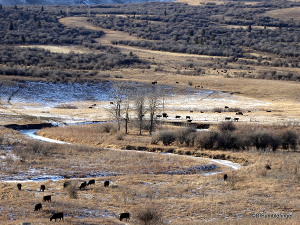 06 Cowboy Trail in January (3)