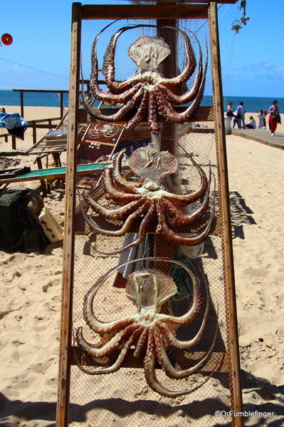 06 Drying Fish, Nazare beach