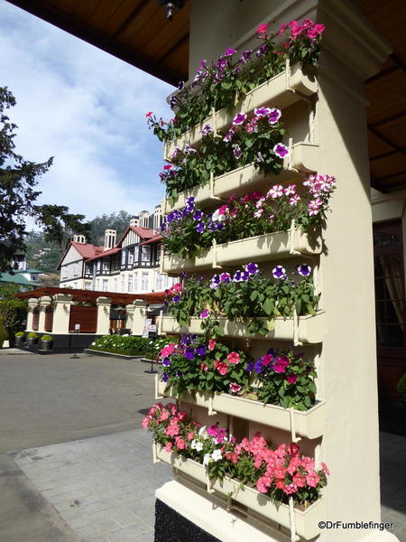 06 Grand Hotel, Nuwara Eliya (32)