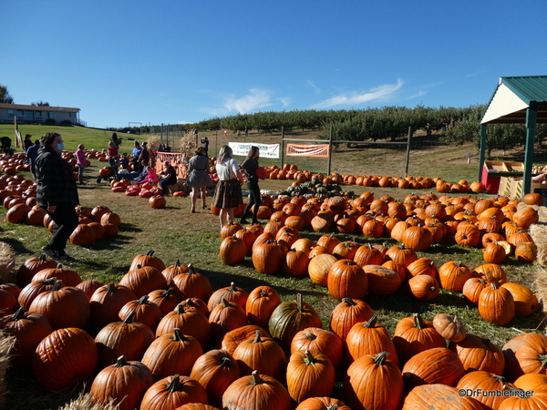 06 Harvest Festival, Green Bluff