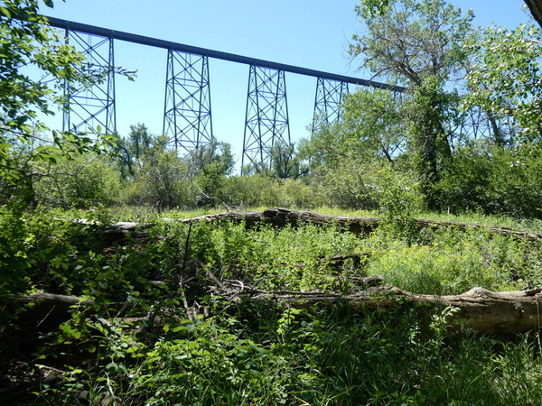 06 Helen Schuler Nature Centre Hike