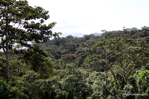 06 Hike in Arenal NP