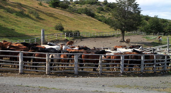 06 Hotel Las Torres, Torres del Paine (44)