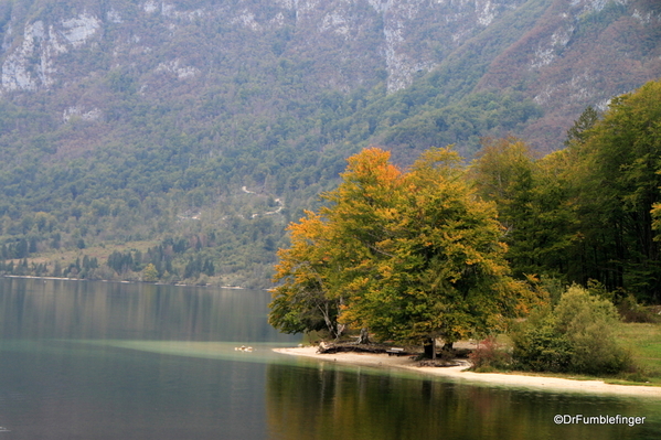 06 Lake Bohinj, Slovenia (7)