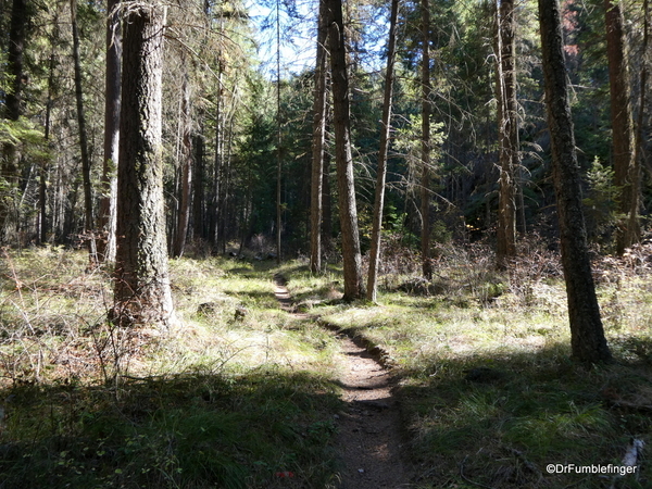 06 River Trail, Montana