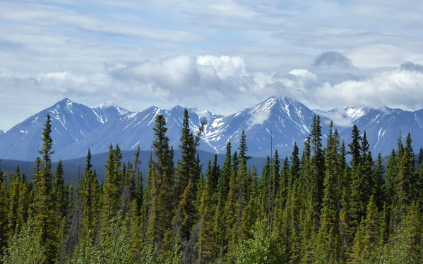 06 Trip to Kluane - Alaska Highway (19)