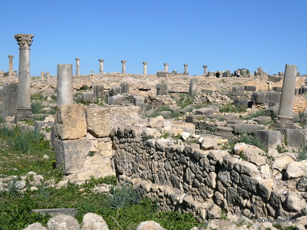 06 Volubilis