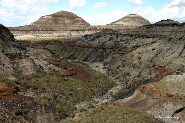 Scenery on the floor of Horseshoe Canyon