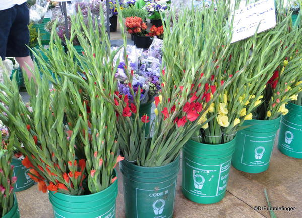 Flowers, St Catharines Market, Niagara Peninsula, Ontario