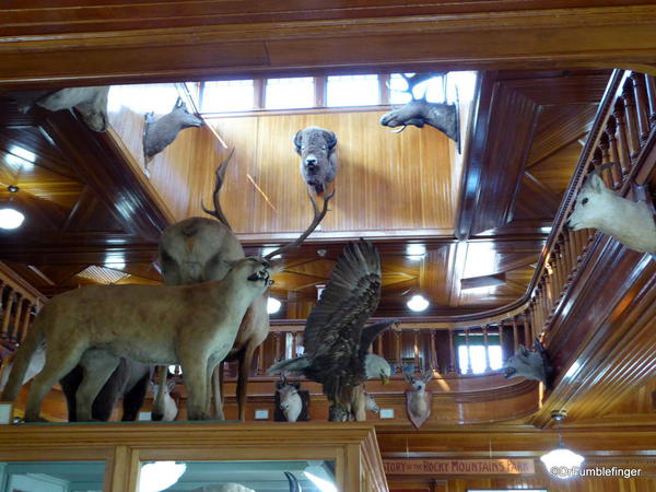 Banff Park Museum