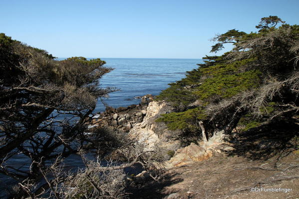 Seventeen Mile Drive, Coastal scenery