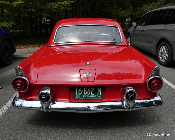 07 1955 Ford Thunderbird