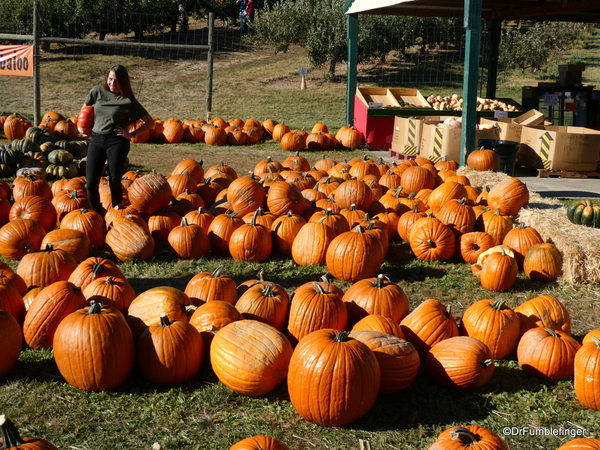 07 Harvest Festival, Green Bluff