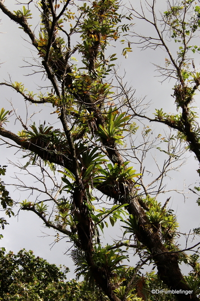 07 Hike in Arenal NP