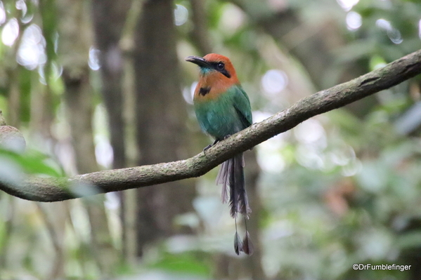 07 Hike in Arenal NP (31)