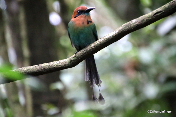 07 Hike in Arenal NP (34)